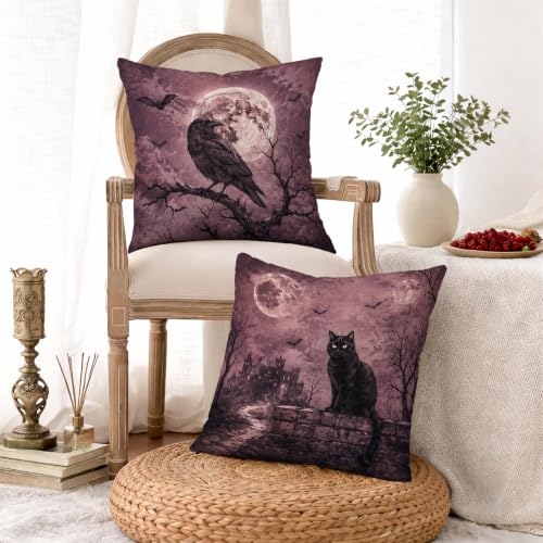 Housses de coussin chat gothique pour masquer l'usure de vos sieges