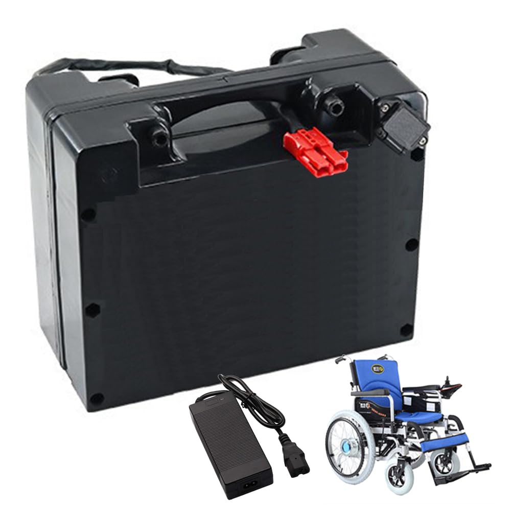 Batería para Silla de Ruedas eléctrica de 24 V LiFePO4, 24 V, 15 Ah, 20 Ah, 25 Ah, 30 Ah, 35 Ah, 40 Ah, 45 Ah, 50 Ah, 60 Ah, con Cargador.