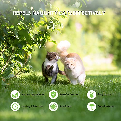 Cat-Repellent-Outdoor-12-Pack-Peppermint-Oil-Cat-Deterrent-Indoor-for-Home-to-Protect-Furniture-Curtain-Pet-Family-Safe-Dog-Repellent-to-Keep-Feral-Cats-Stray-Dogs-Out-of-Yard-Garden-Lawn - Cucciolini Doodles Cat-Repellent-Outdoor-12-Pack-Peppermint-Oil-Cat-Deterrent-Indoor-for-Home-to-Protect-Furniture-Curtain-Pet-Family-Safe-Dog-Repellent-to-Keep-Feral-Cats-Stray-Dogs-Out-of-Yard-Garden-Lawn