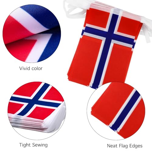 Image of Norway Flags Norwegian String Flag Banners for Patriotic Events Independence Day Sports Bars Inside Outside Decorations 33 Feet 30 Flags