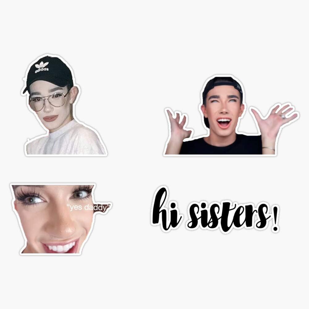 Amazon.com - James Charles Iconic Sticker Pack Sticker Vinyl Bumper ...