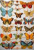 Motiv: siehe Foto Glanzbilder Schmetterling EF 7297 Oblate Posiebilder Scrapbook Deko GWI 550