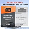 LiTime 36V 50Ah TM Bluetooth Low-Temp Protection LiFePO4 Battery Built in 50A BMS, Deep Cycle Group31 Lithium Iron Phosphate Battery Perfect for Trolling Motors, Marine, Boat, Home Energy