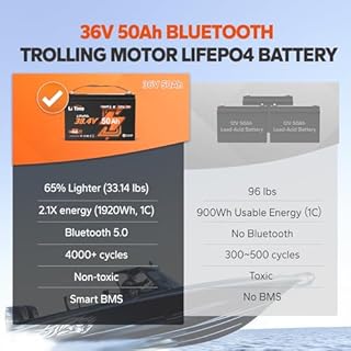 LiTime 36V 50Ah TM Bluetooth Low-Temp Protection LiFePO4 Battery Built in 50A BMS, Deep Cycle Group31 Lithium Iron Phosphate Battery Perfect for Trolling Motors, Marine, Boat, Home Energy