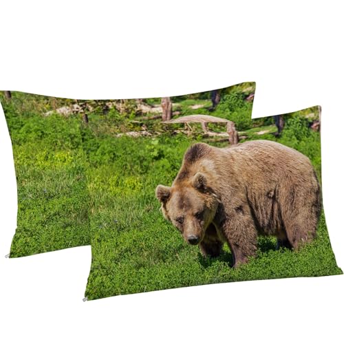 Housse de couette ours brun parure de lit 90x190 douce facile à laver - 8