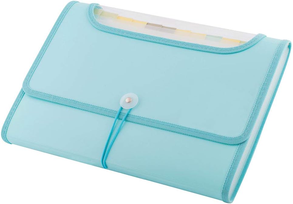 D.RECT 5590 Expandable Expandable Document Folders 12 Compartments A4 Peppermint