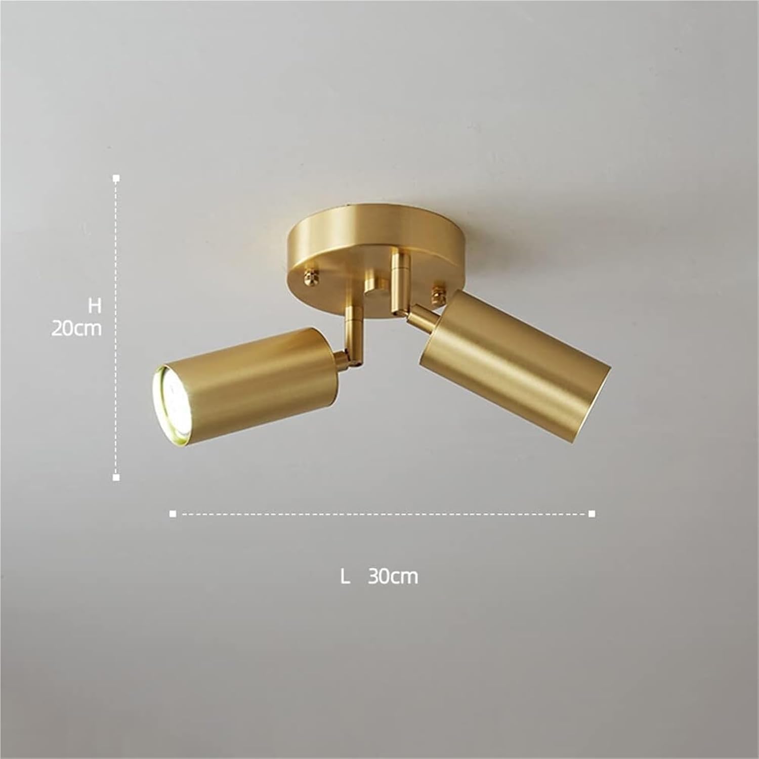 PAYAER Copper LED Ceiling Spotlight, Round Multi-Directional Track Lighting Fixture, Adjustable Accent Spot Lamp for Kitchen, Living Room, and Office(2-Light)