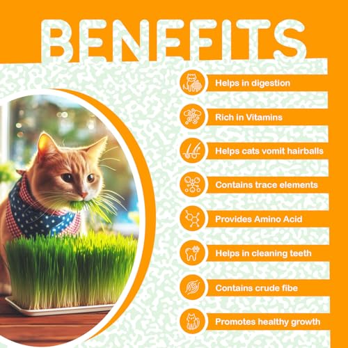 Image of Catgrass Growing Kit for Indoor & Outdoor Cats| Cat Grass Growing Kit with 4-Cocopeat Discs|3-Packets Of Chemical Free Wheat Grass Seeds| 1-Grass Planter| Easy To Grow
