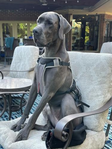 Image of Large-Plus Happy Tail Protector for German Shepherd - Check Size Chart Image for FIT