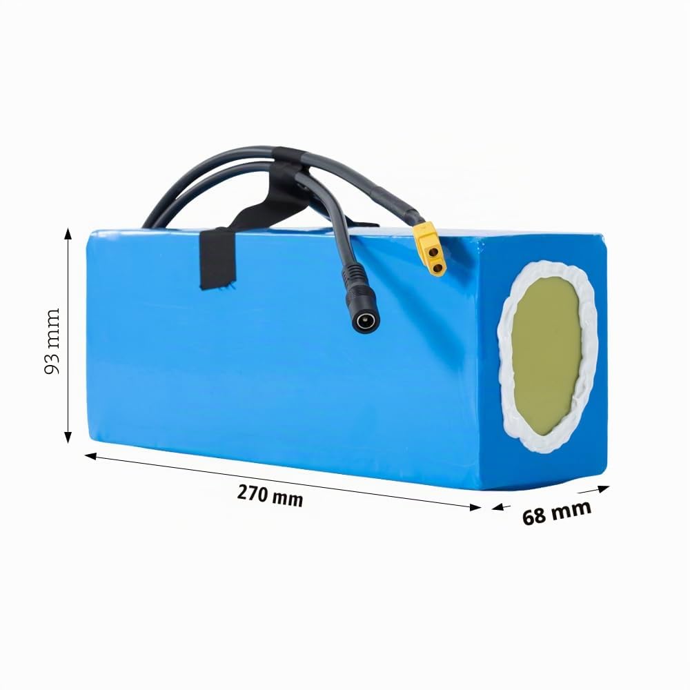 SEASON E-Bike Batterie Pack 48V 13Ah Lithium-ION Batterie 13S5P avec 20A BMS et 2A Chargeur pour vélo électrique, Scooter