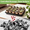 RooTrimmer 3.15 Inch Peat Pots 100 Pcs with 20 Cell Seedling Trays 5 Pcs, Biodegradable Seed Starter Pots with Drainage, Reusable Nursery Tray for Seed Starting Indoor Gardening Propagation Kit 5 Sets