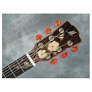 GaYouny Guitare 41 Pouces de Guitare Acoustique coupée, Haut de l’épinette Solide, côtés de Bois de Rose Massif et Dos… - Les Beatles, Paul McCartney, John Lennon, RIngo Starr, George Harrison GaYouny Guitare 41 Pouces de Guitare Acoustique coupée, Haut de l'épinette Solide, côtés de Bois de Rose Massif et Dos… – Image 2