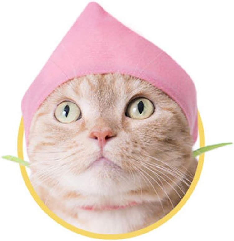 Fruit Hat for Cats Neko Fruit-chan (Peach)