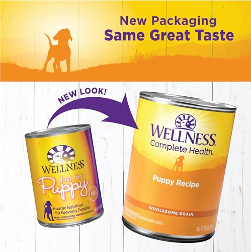 Image of Wellness Complete Health Pate Puppy Canned Wet Dog Food, Wholesome Grains, Natural, Chicken and Salmon Recipe, 12.5 oz, Pack of 12 Cans