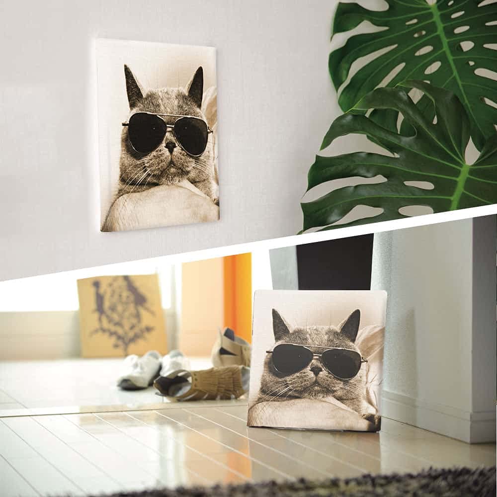 Amazon.co.jp: セピア 猫 アートパネル 57cm × 57cm Lサイズ