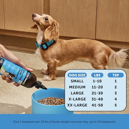 Image of Pet Honesty Dog Skin and Coat Supplement with Salmon Oil for Dogs - Allergy Itch Relief + Skin & Coat Health, Dog Food Topper Bone Broth with Salmon Oil, Collagen, Biotin + Vitamin E (12 oz)