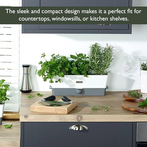 Cole & Mason Burwell 3-Fach Kräutertopf Selbstbewässernd, Kräutertopf Balkon/Kräutergarten für die Küche/Für Frische Küchenkräuter, Enthält 12 x Pads