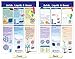 NewPath Learning Matter & Interaction Bulletin Board Charts, Set/3 - Laminated, Double-Sided, Full-Color, 12