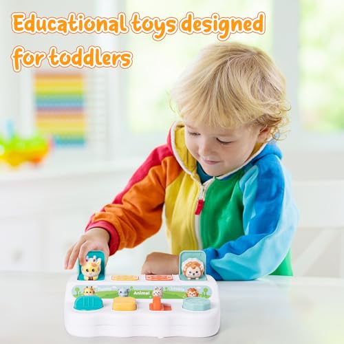 Image of Animals Pop Up Toy - Interactive Funny Activity Pop Up Toys Early Learning Montessori Developmental Cause and Effect Color Sorting for Toddlers 18 Months+ Boys Girls