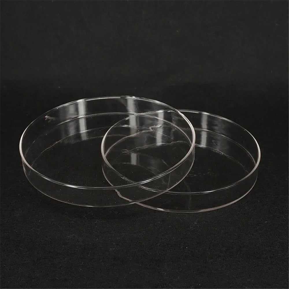Attrezzature e forniture di laboratorio Piastra di coltura Petri in vetro da 200 mm con coperchio for laboratorio