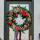 Zoom IMG-2 vegcoo 210 pezzi bacche di Zoom IMG-2 vegcoo 210 pezzi bacche di