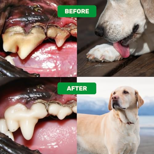 Image of Absolut Pet Dog Supplement for Oral Care, Dental Chews for Dogs that Reduces Plaque & Tartar | Freshens Breath & Supports Gum Health (Dental + Probiotic)