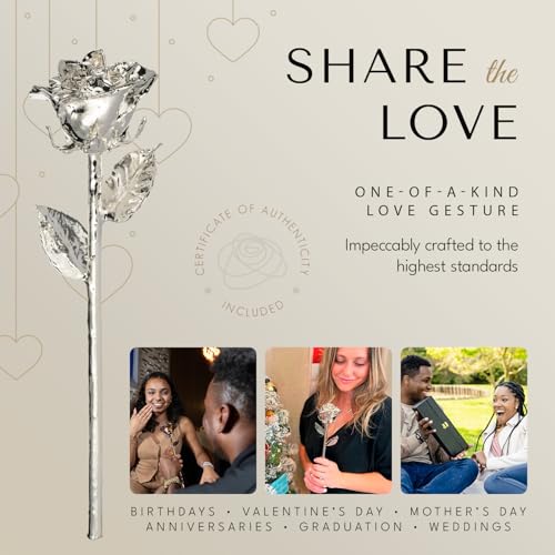Image of Forever Rose Real Rose Dipped in Silver, Luxury Gold Gift Box