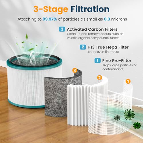 image for Colorfullife 2 Pack Air Purifier Filter Replacements for Dyson HP01, H