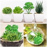 QUOZUO 6 succulentes artificielles vertes de 6 à 13 cm photo 3