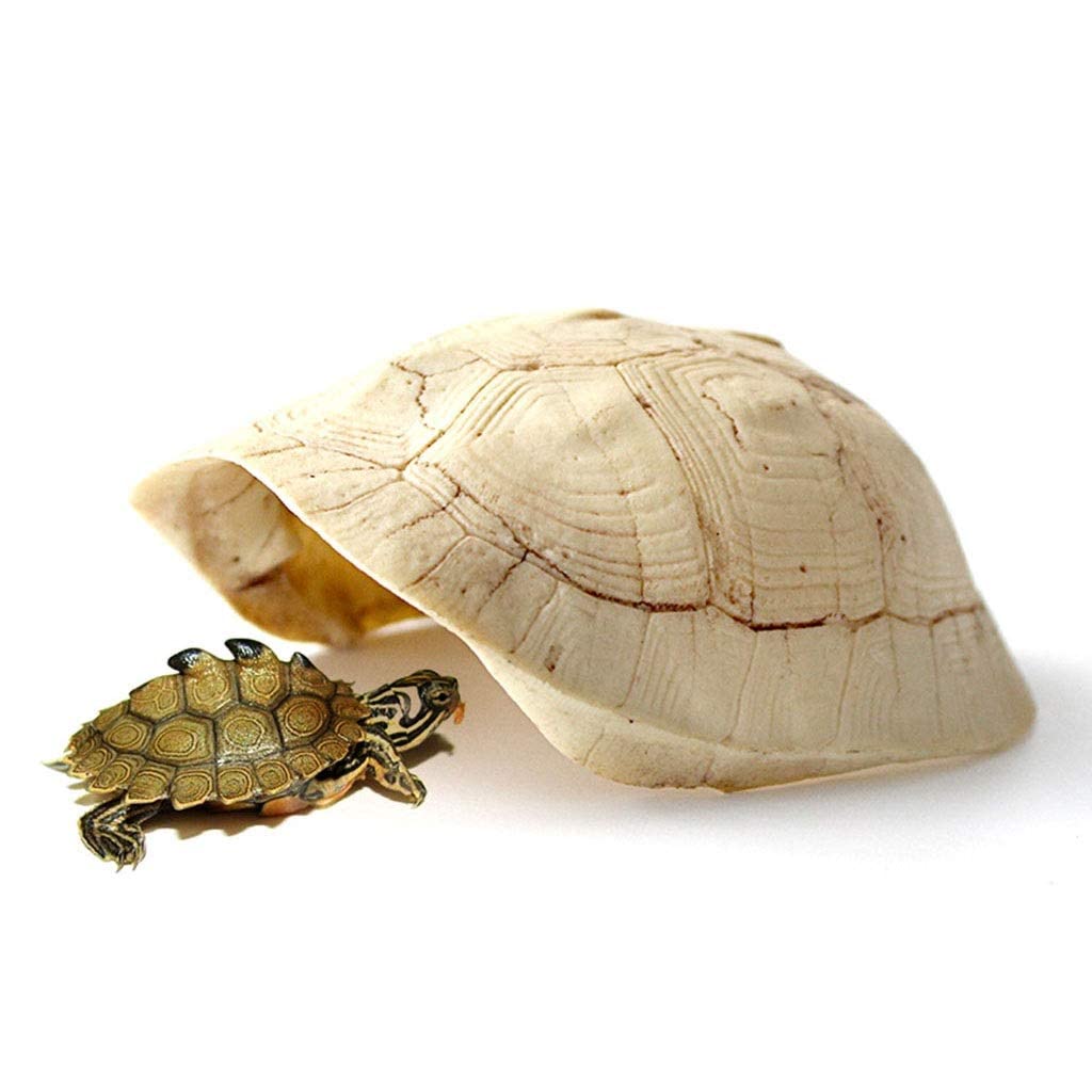 Concha de Tortuga escondite de Reptiles, Caja de Cueva de Reptiles, decoración de hábitat, escondites de arañas, Peces, lagartos, Serpientes, Accesorios para Cajas de Reptiles, Adornos