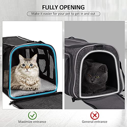 Tomykii Pet Carrier,Soft-Sided Collapsible Cat Dog Carrier, Pet Travel Carrier Bag for Small Medium Cats Dogs Puppies… - Image 3