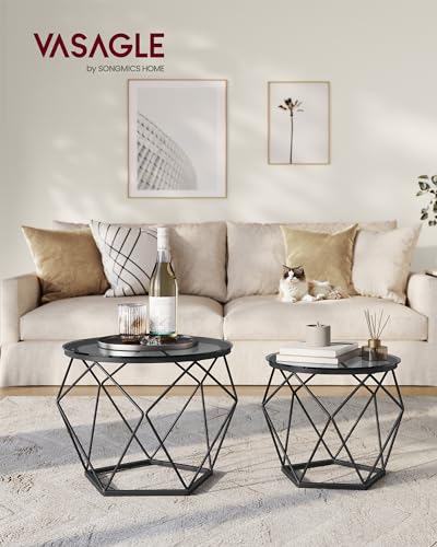 VASAGLE Round Coffee Tables, Set of 2 Side Tables, Modern Style, Removable Tabletop, Steel Frame, for Living Room, Slate Grey and Ink Black LGT040B03 - Image 2
