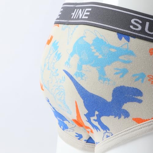 Baby Toddler Boys Briefs, Little Kids Potty Training Underwear, Dinosaur, Cartoon printed, 6-Pack2
