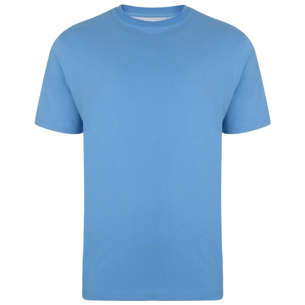 Kam Pure Cotton/Cotton Rich Plain Tee Shirt in Powder Blue in 4XL