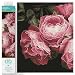Produktbild DIAMOND DOTZ 2592472 Original 5D Diamond Painting Squares Set, Vintage Rosen, DIY Diamant-Malerei-Kit mit quadratischen Glitzersteinen für Erwachsene und Kinder ab 12 Jahren, Intermediate