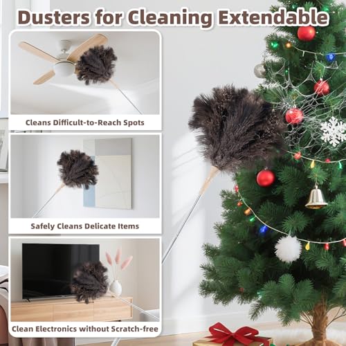 Image of Ostrich Feather Dusters for Cleaning Kit - Soft Feather Duster Extendable | Reusable Extendable to 49 inches for Cleaning Ceiling Fan, High Ceiling, Blinds & Retractable Small Duster for Keyboard, Car