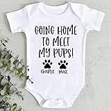 Going Home To Meet My Best Pups Onesie, Personalized Dog Name Baby Onesie, Baby Onesie Dog Sibling, Going Home To Meet My Pups Newborn Outfit, Pet Dog Baby Announcement Onesie