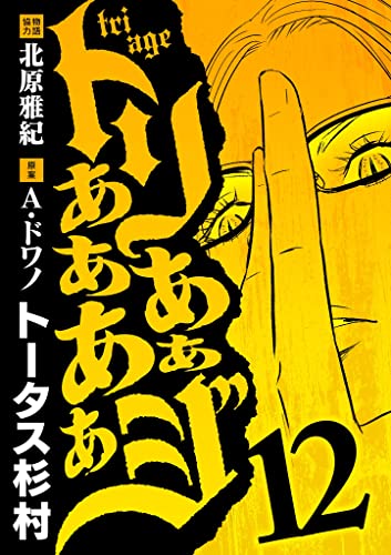 トリああああああジ（12） (eビッグコミックス)