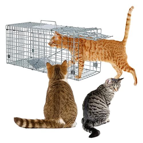 List of Ten Best Feral Cat Trap Top Picks 2023 Reviews