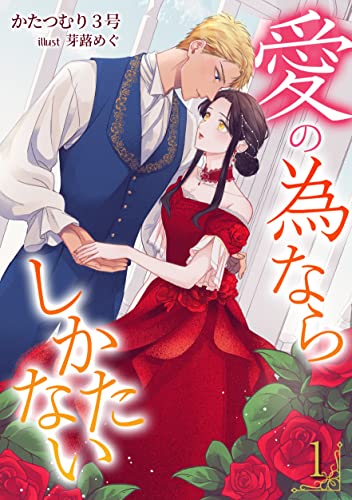 愛の為ならしかたない(1) (アマゾナイトノベルズ)