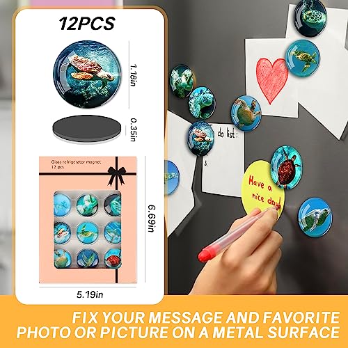 Imanes decorativos animales para refrigerador, pack 12 piezas miniatura 5