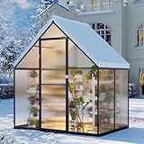 Aoxun 4x6 FT Outdoor Greenhouse, Polycarbonate Greenhouse with Aluminum Frame, Walk-in Green House with Roof Vent, Ground Nails, Lockable Door for Garden Backyard, Patio, Lawn,Quick-Installation