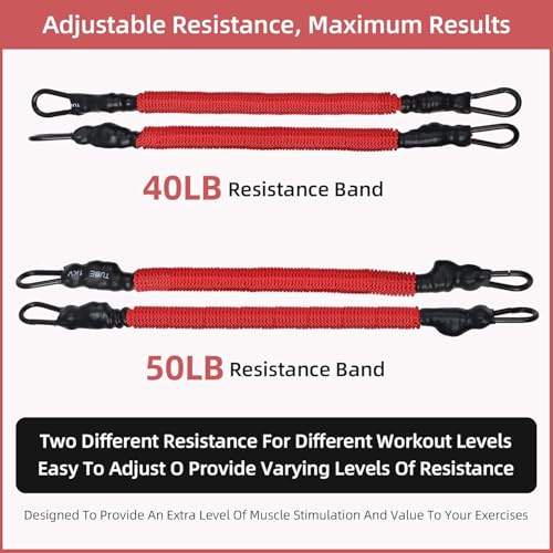 Adjustable Weight Bench for Home Gym