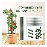 Diese Pflanze Käfige Höhe eingestellt werden kann, können Sie es richtig nach den verschiedenen Perioden Ihrer Anlage ändern.