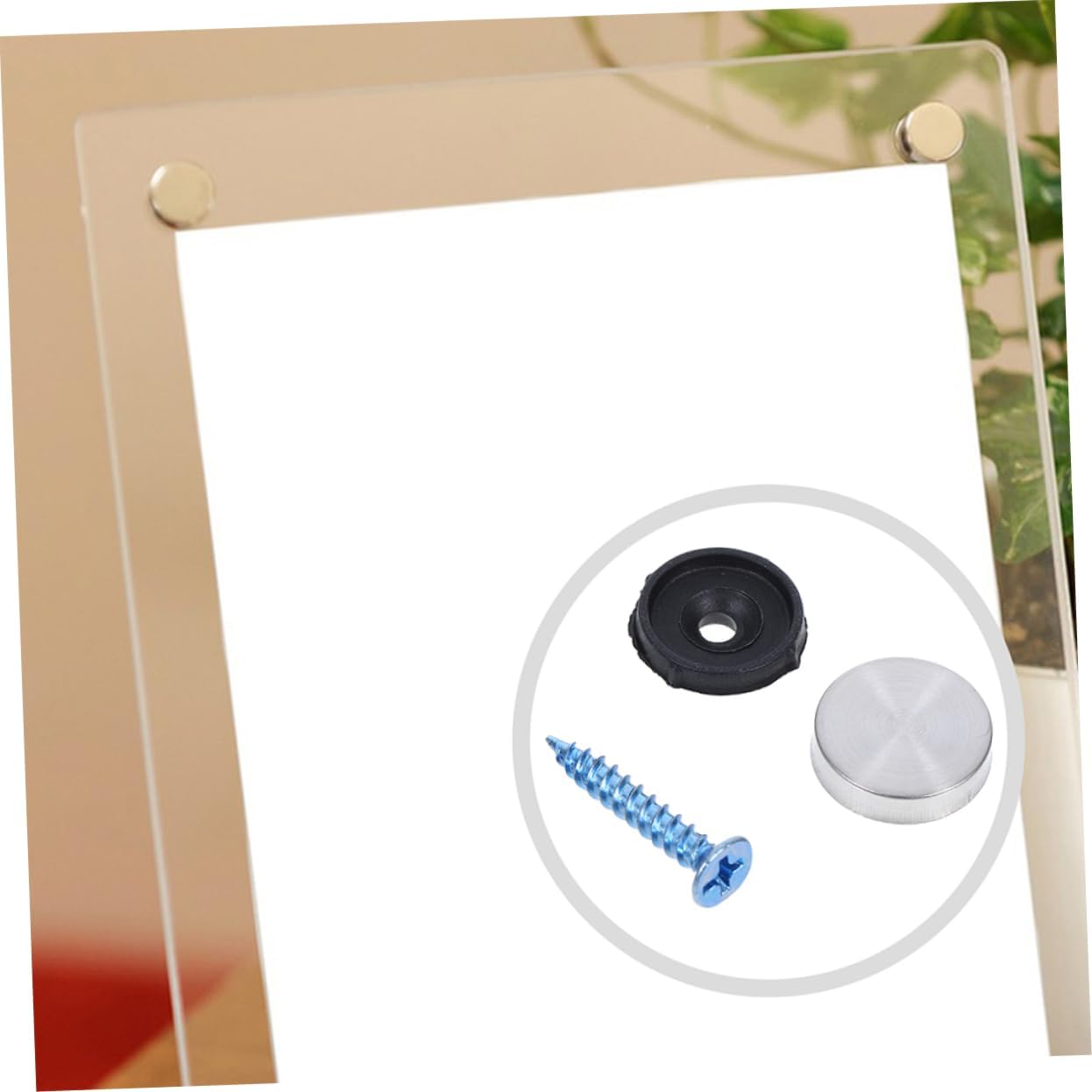 Ciieeo Stainless Steel Decorative Screws with Caps Heavy-Duty Mirror Fasteners for Securely Hanging Mirrors Easy Installation Design