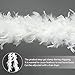 DelightBox White Feathered Boa, 72