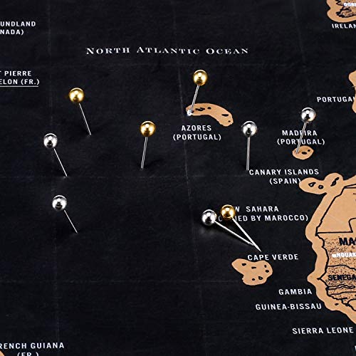 Puntine da Disegno, Foonii Puntine e ganci