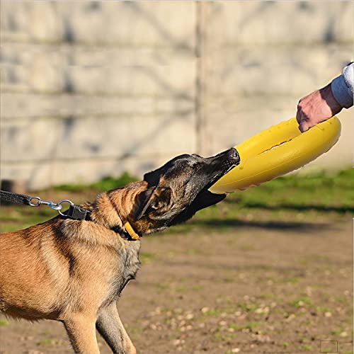 MMSGA Fitness-Ring für Hunde, Outdoor-Spiel Agility Trainingsgerät, Interaktiver Trainingsring für Kleine, Mittelgroße und Große Hunde (Gelb, 30CM)