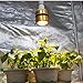 CANAGROW 300W COB LED Grow Light Bulb, Full Spectrum Grow Lights for Indoor Plants, E26 Sunlike Plant Grow Bulb, Aluminum Case & Reflector, Ultra Quiet Cooling Fan, Designed for Special Plants