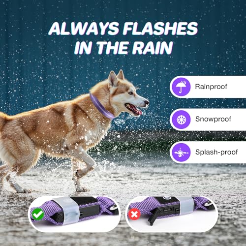50% Off RUXAN Light Up Dog Collar for Night Walking Safety